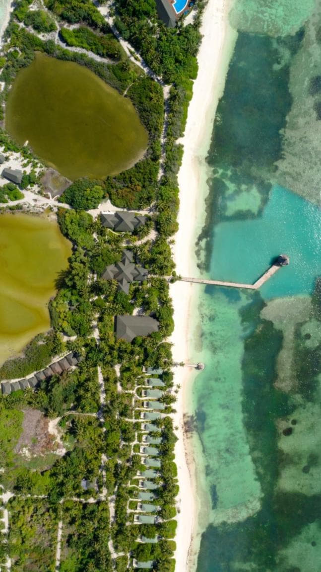 Canareef Resort Maldives - View 20