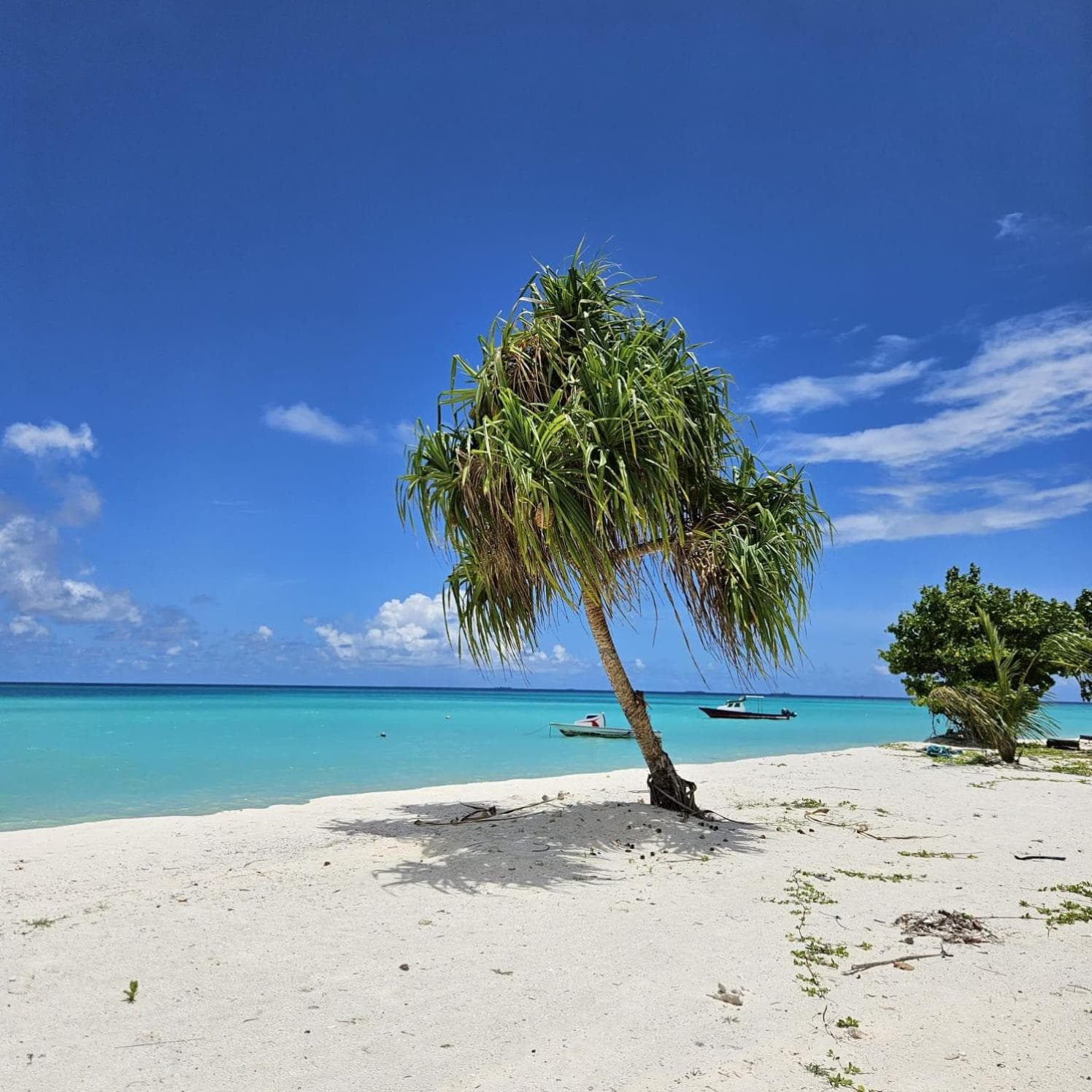 Dravida Hotel - View 16