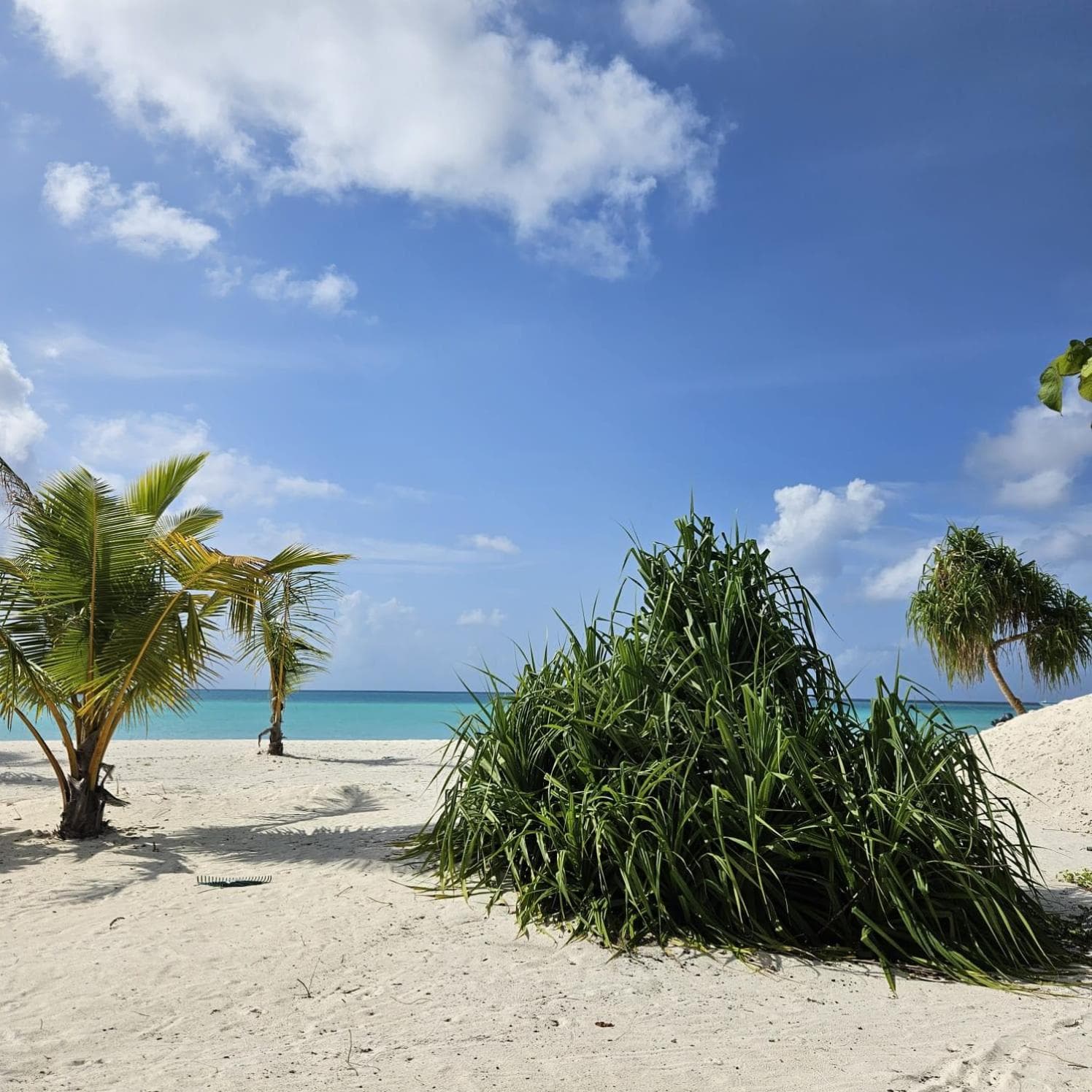 Dravida Hotel - View 14