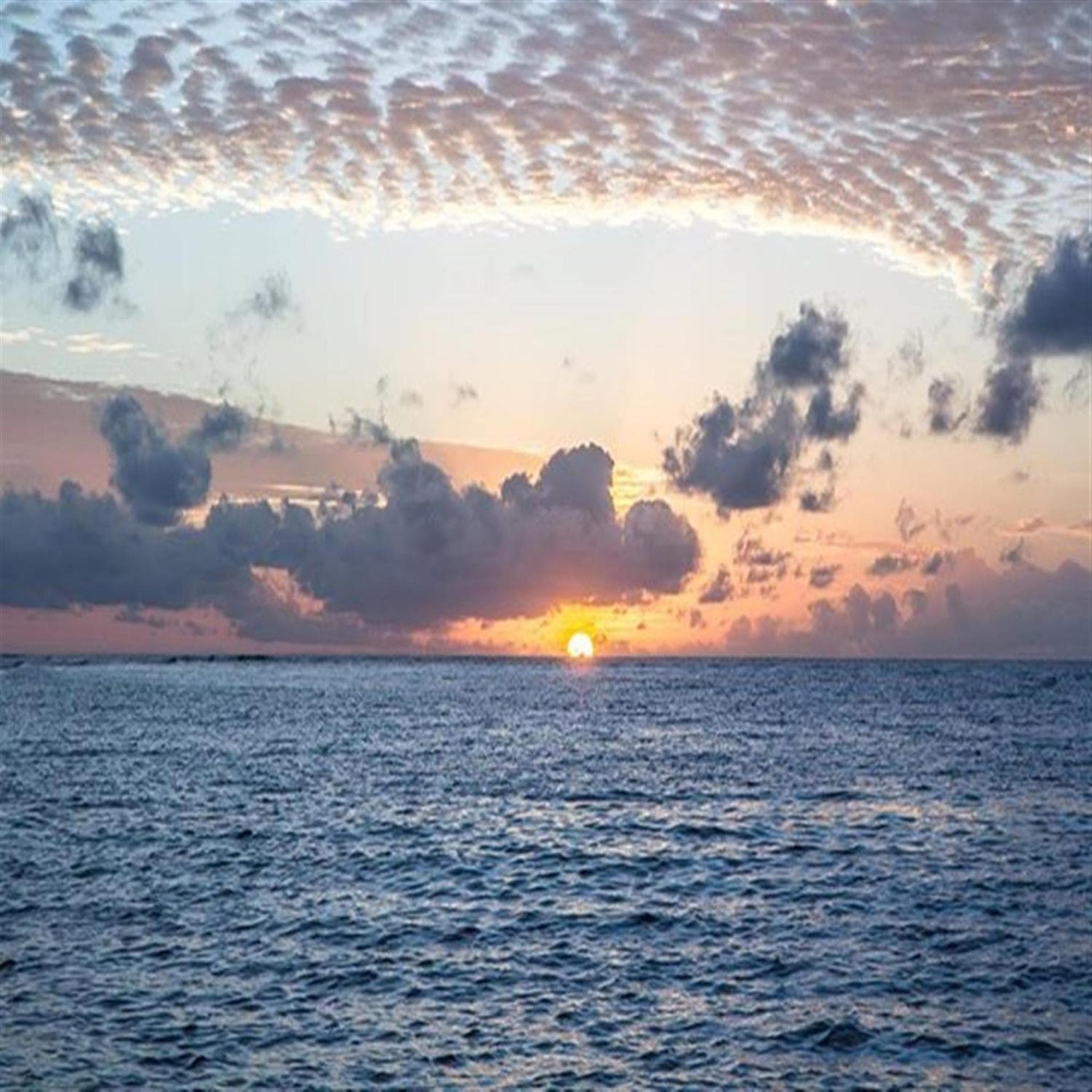 Holiday Cottage Thoddoo, Maldives - View 45