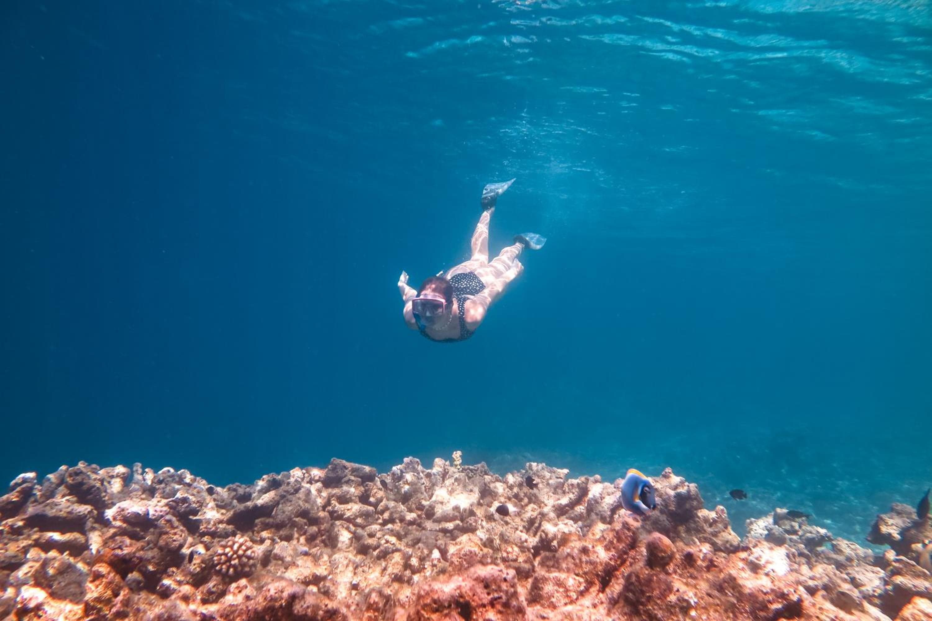 Rashu Hiyaa - View 101