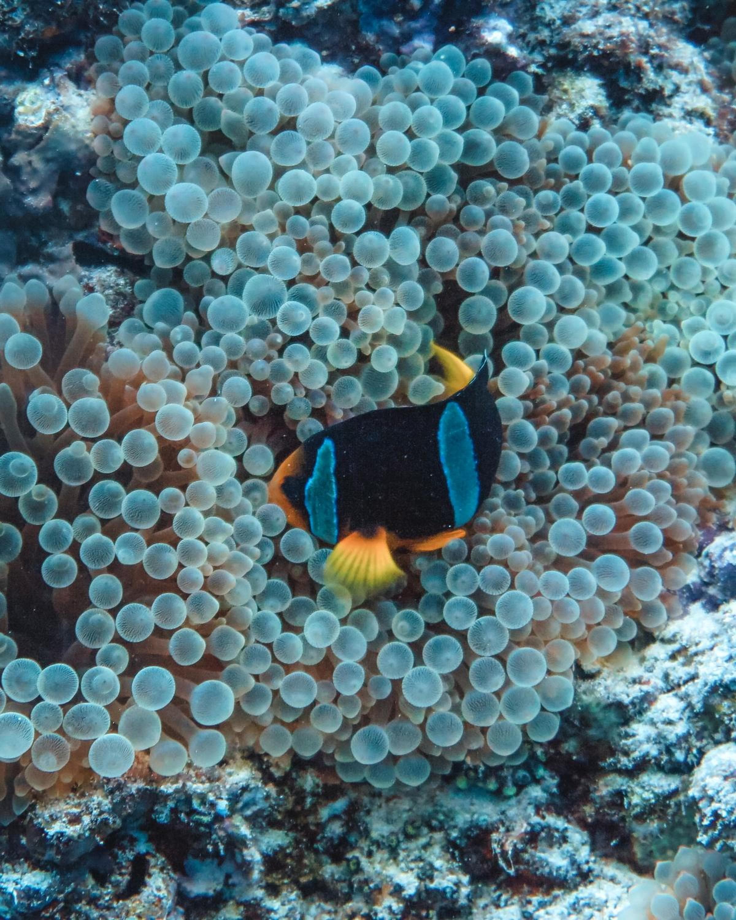 Rashu Hiyaa - View 91