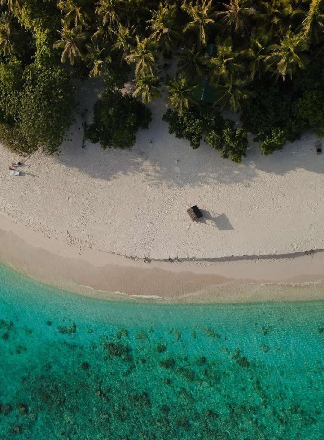 Swarn by Hawks Hotels Kamadhoo Baa Atoll - View 23