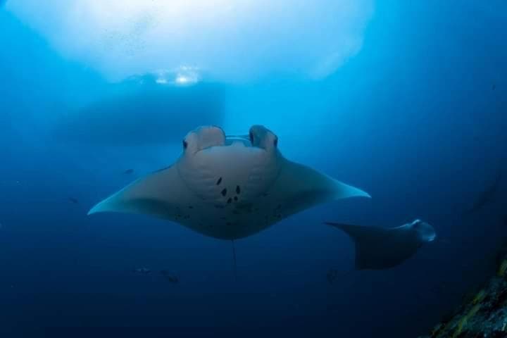 Asia Inn Maldives - View 86