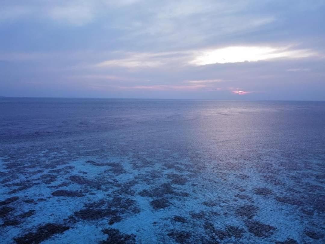 Asia Inn Maldives - View 159