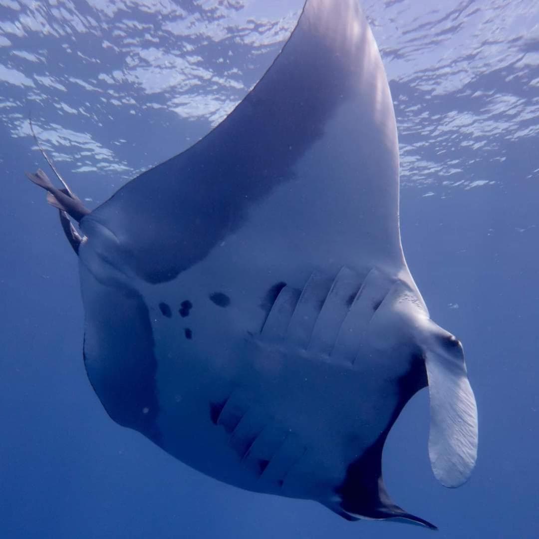 Asia Inn Maldives - View 129