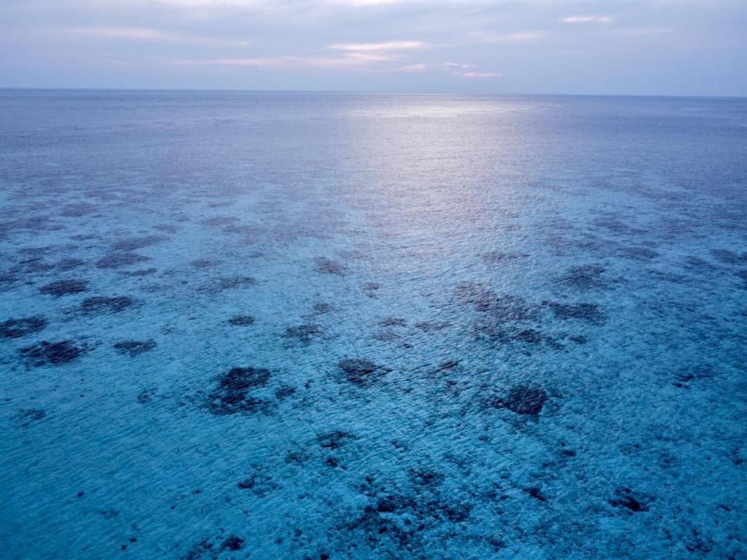 Asia Inn Maldives - View 43