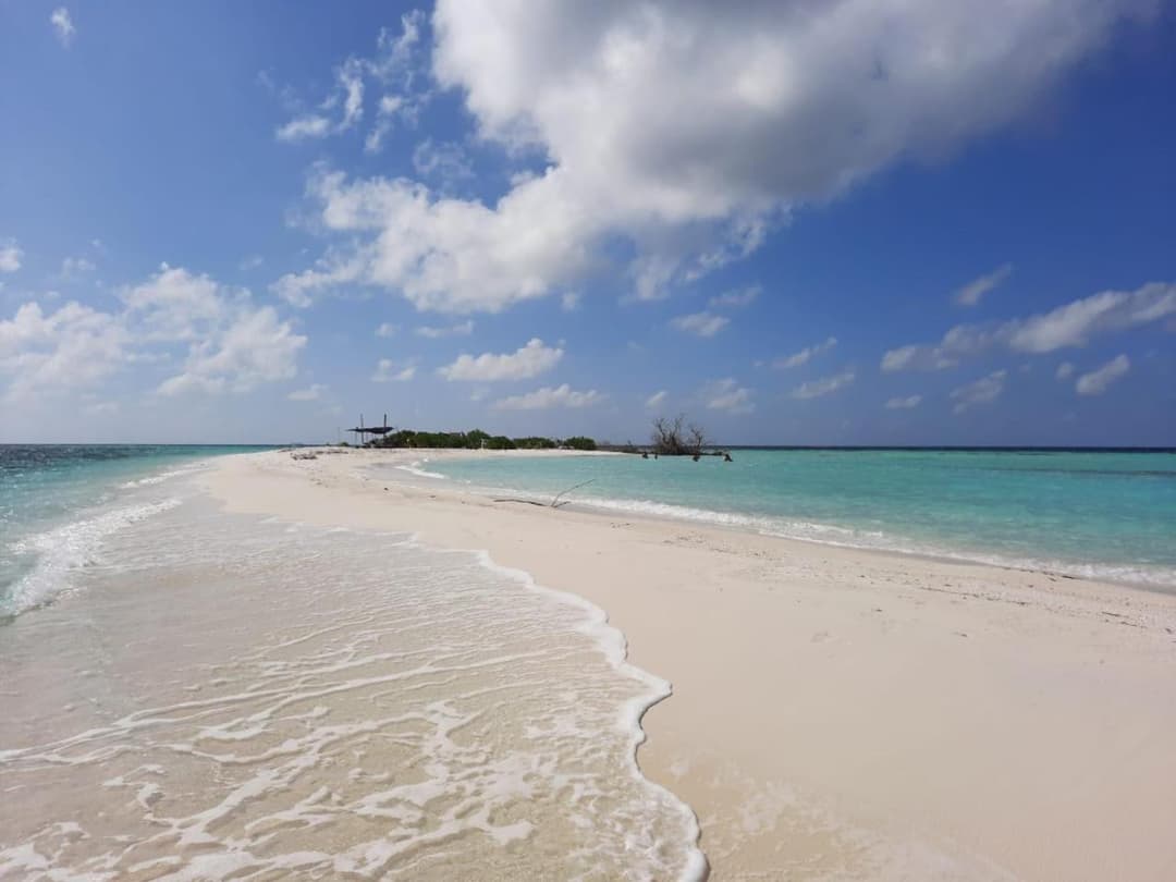 Asia Inn Maldives - View 64