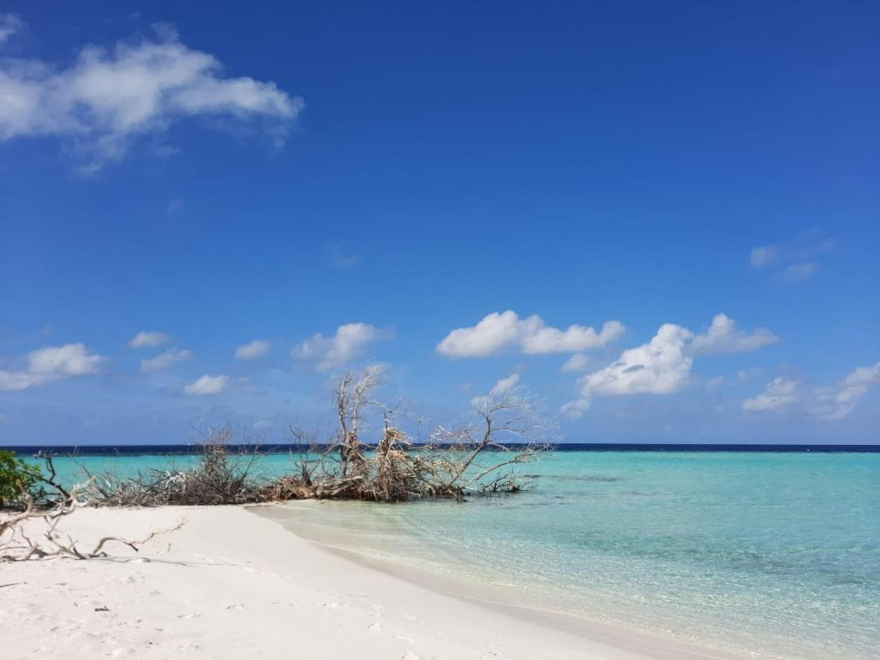 Asia Inn Maldives - View 61