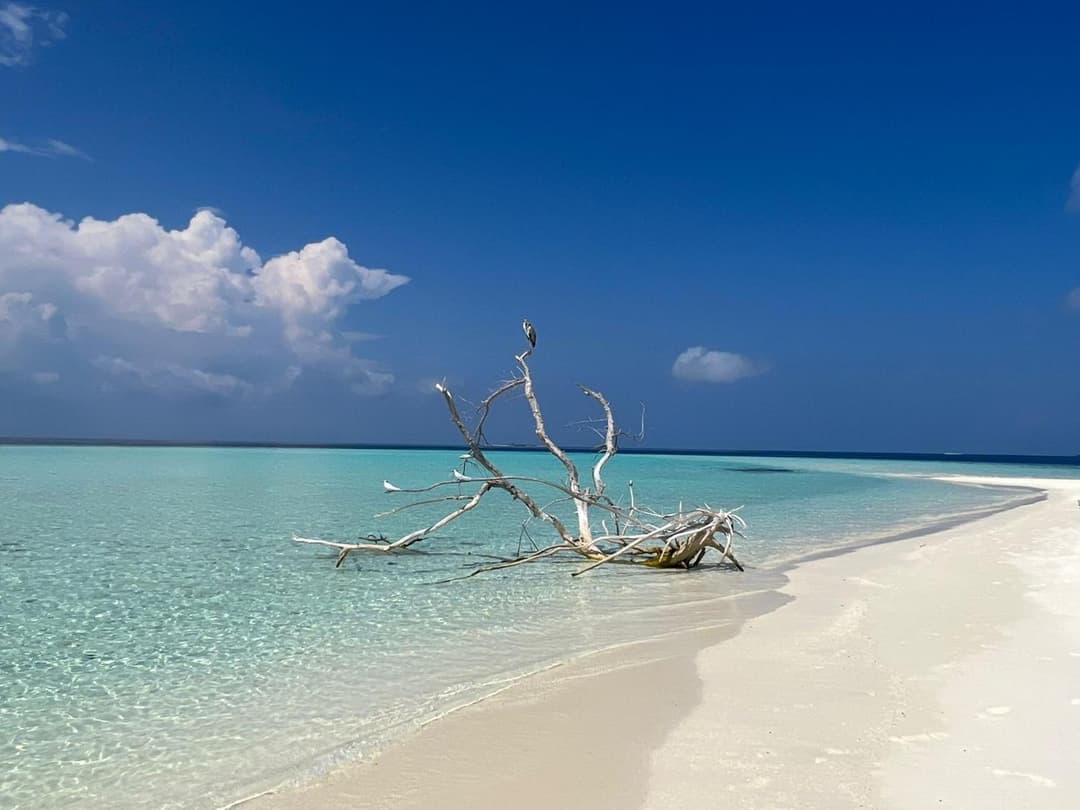 Asia Inn Maldives - View 82
