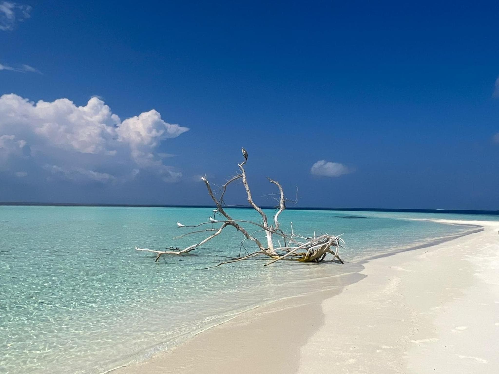 Asia Inn Maldives - View 38