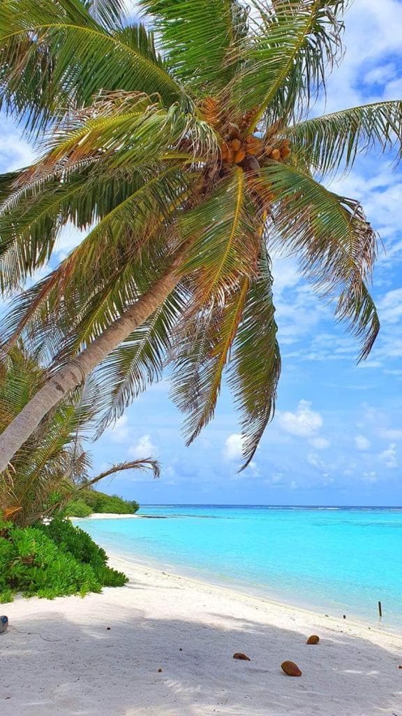Raalhu Fonu Maldives - View 12
