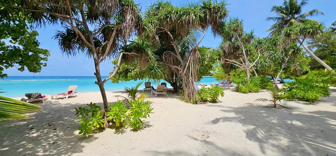 Beach Cottage - View 93
