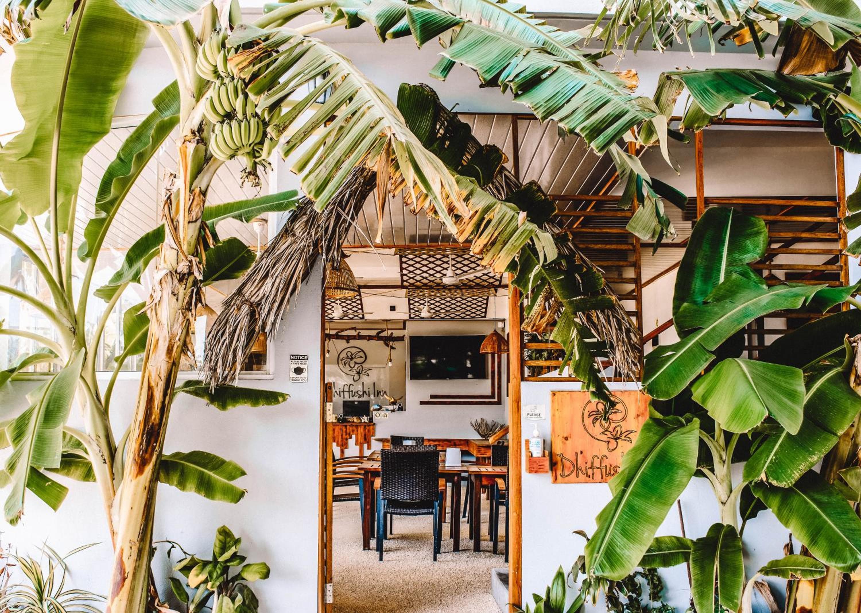 Dhiffushi Inn - View 1