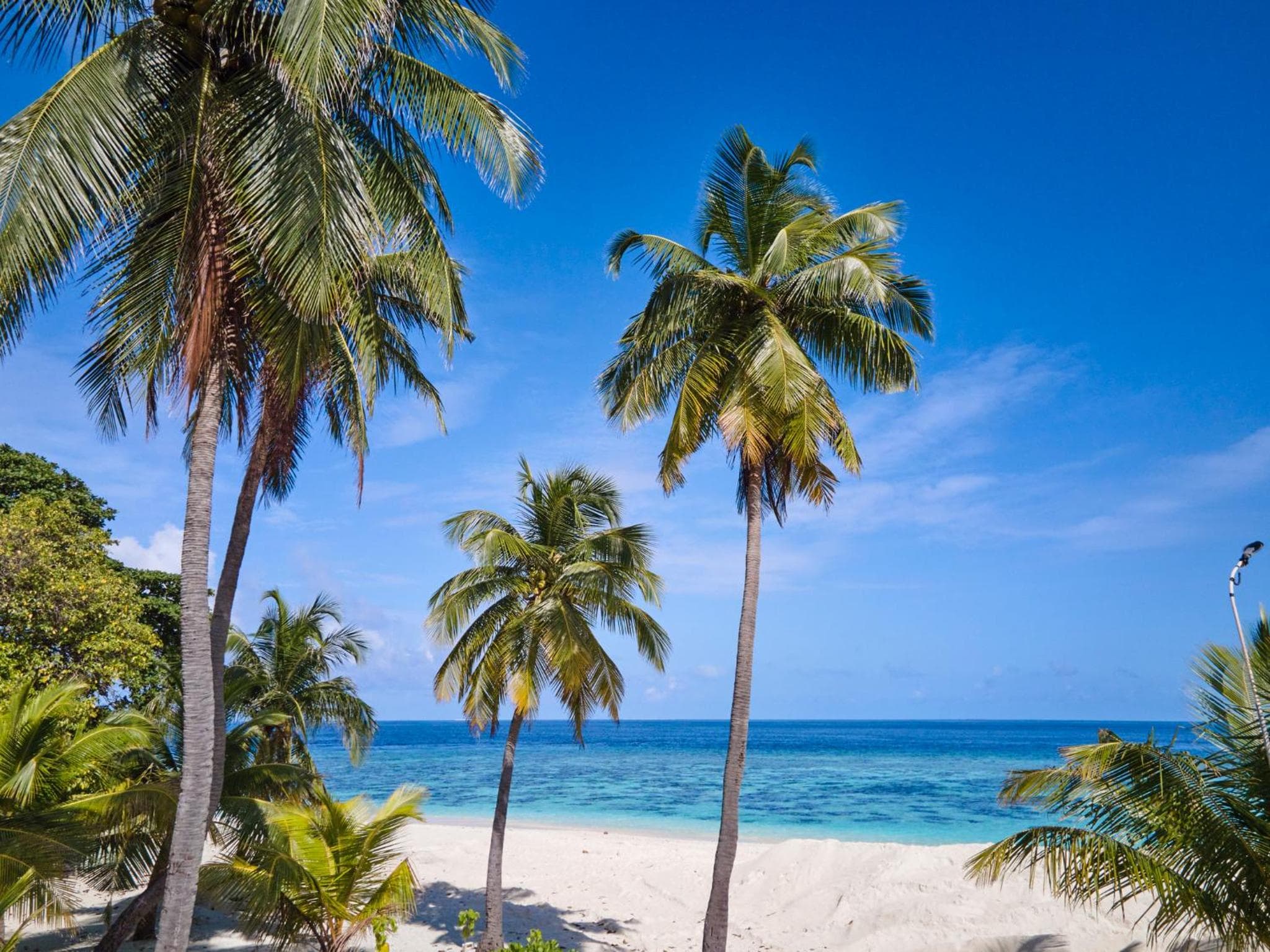 Akomadoo Retreat - View 10