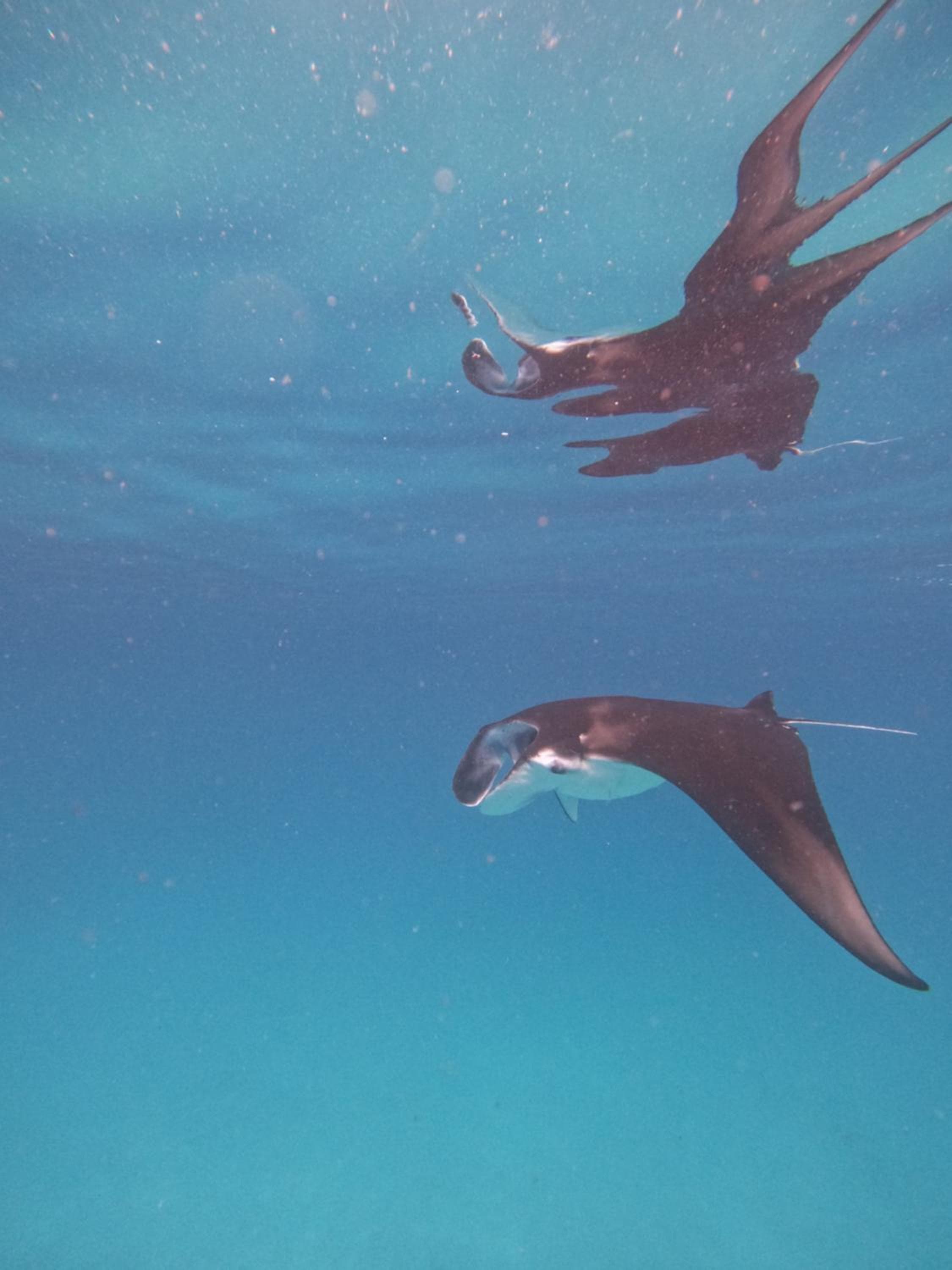 Rasdu View Inn - View 223