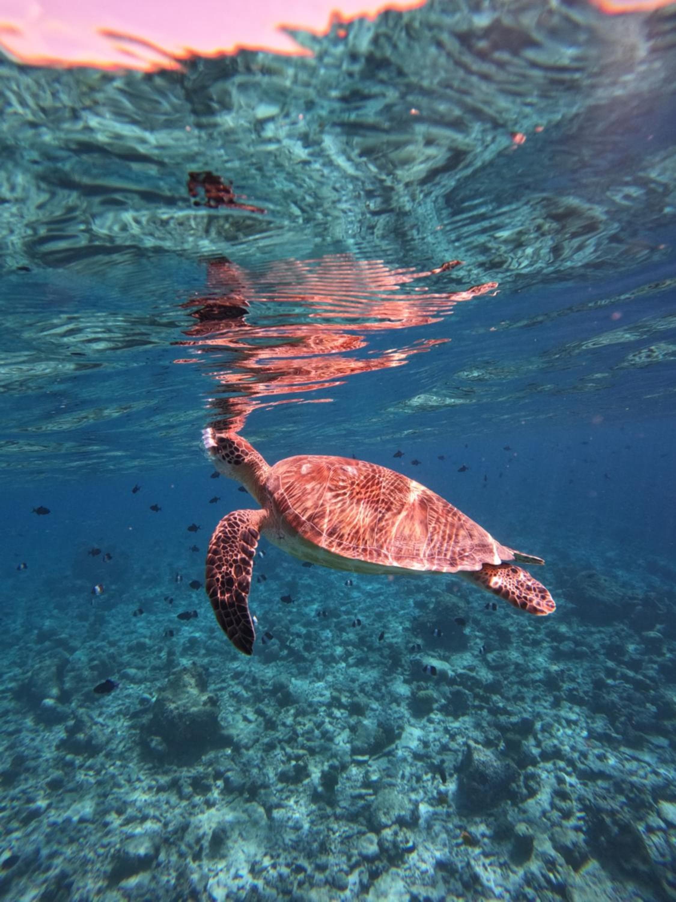 Rasdu View Inn - View 224