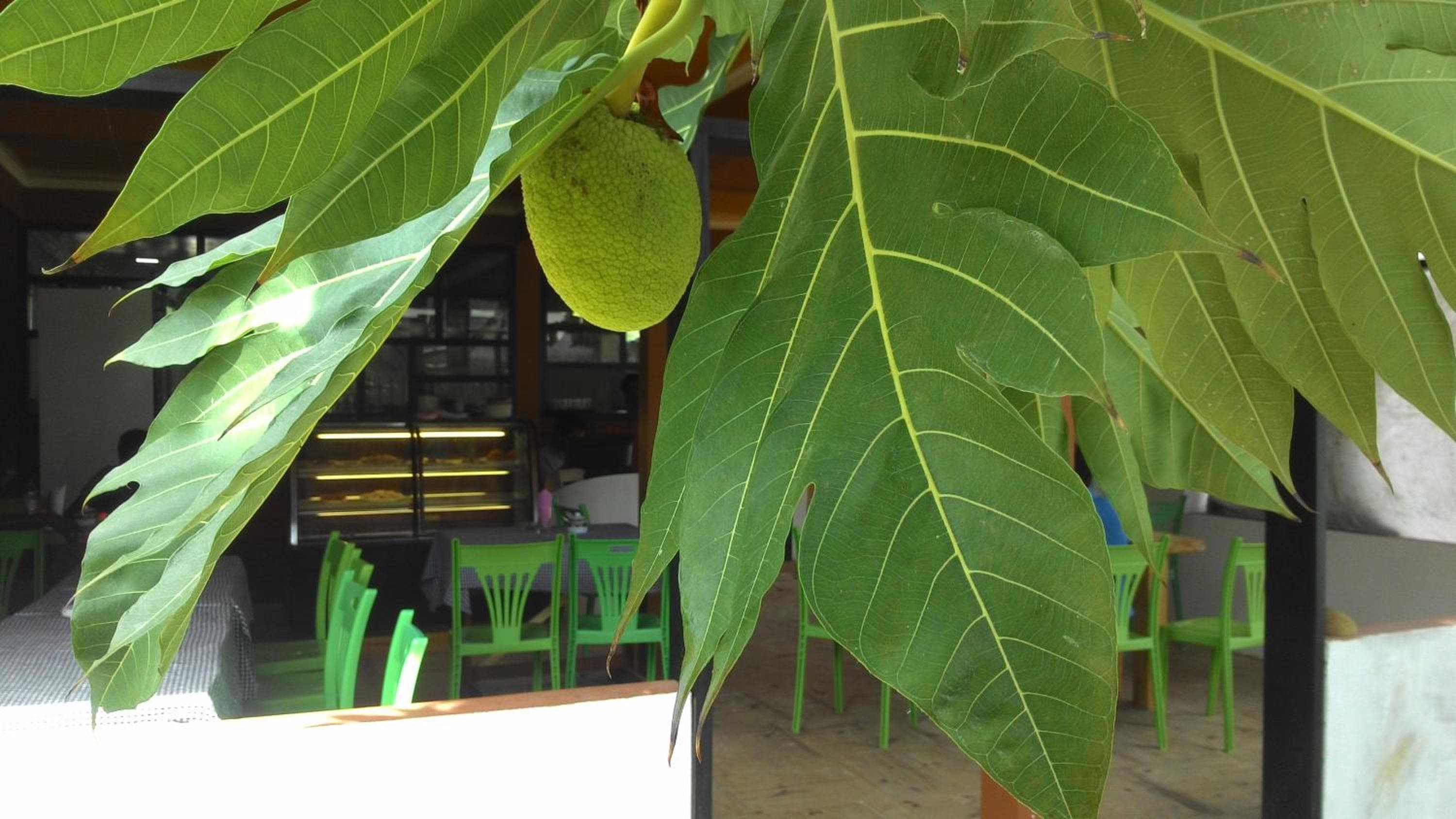 Maafushi View - View 18