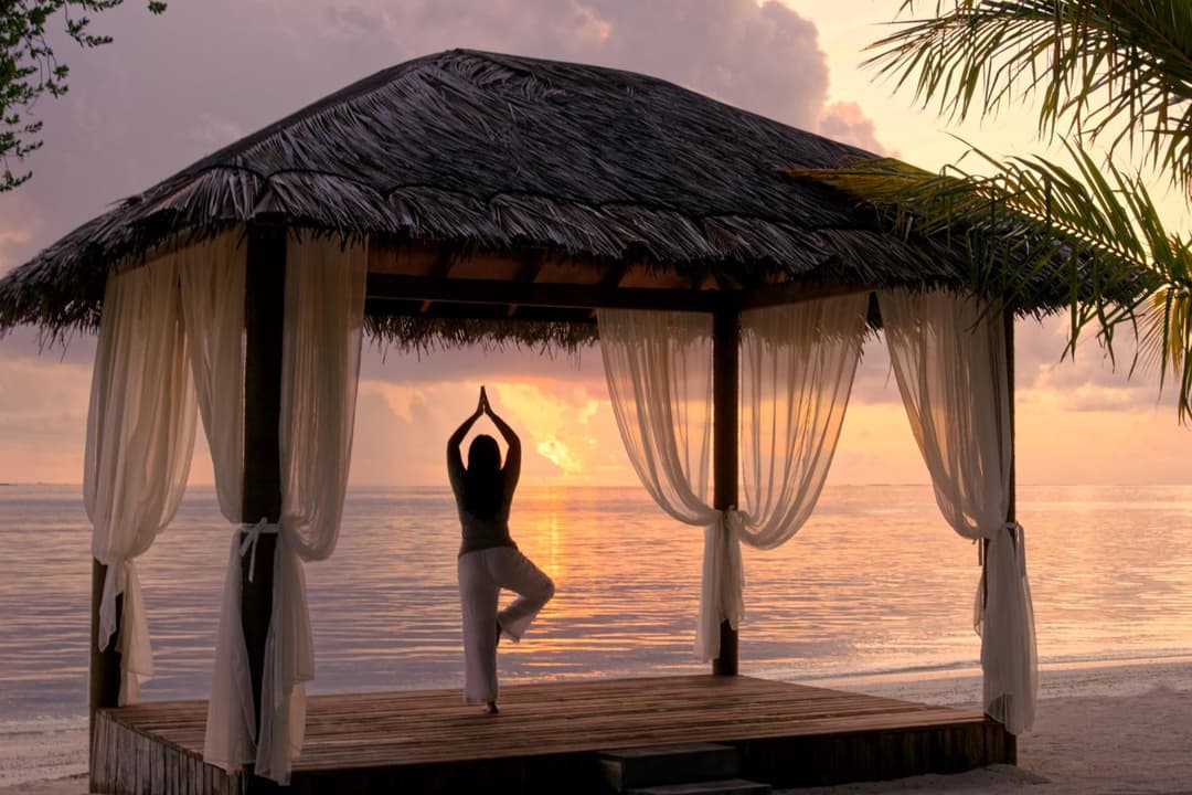 Canareef Resort Maldives - View 101