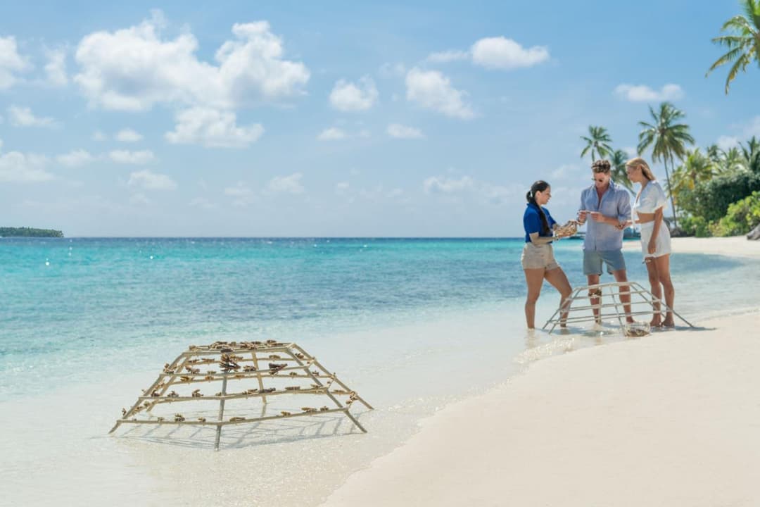 The St. Regis Maldives Vommuli Resort - View 137