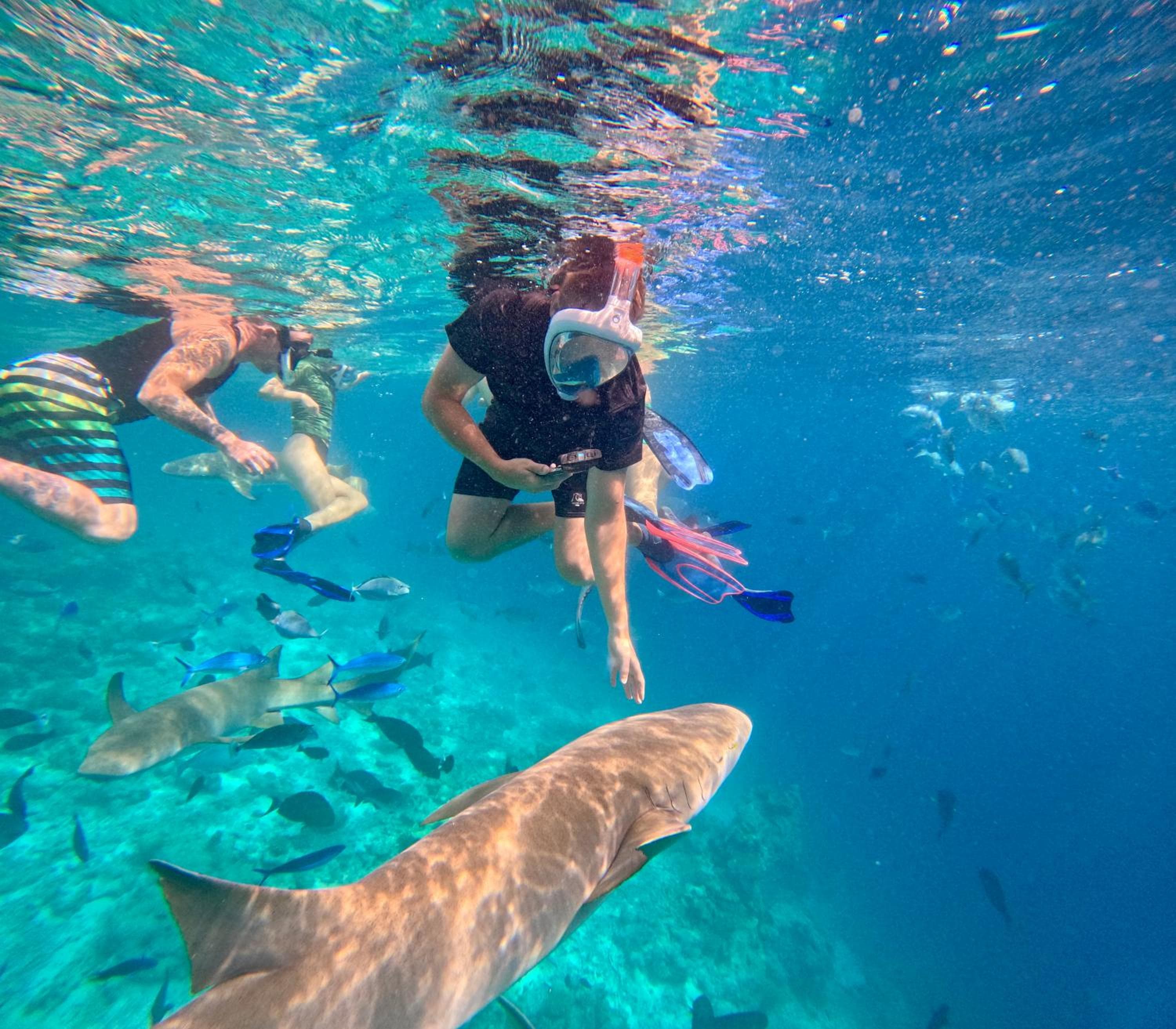 Lagoon Villa Maldives - View 58