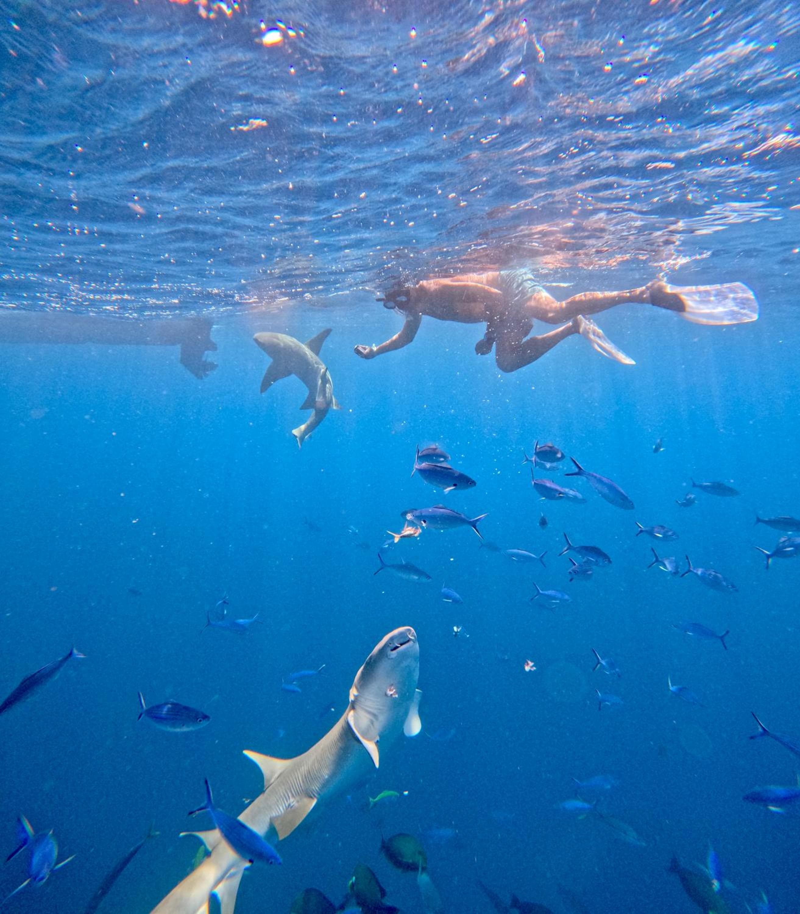 Lagoon Villa Maldives - View 57
