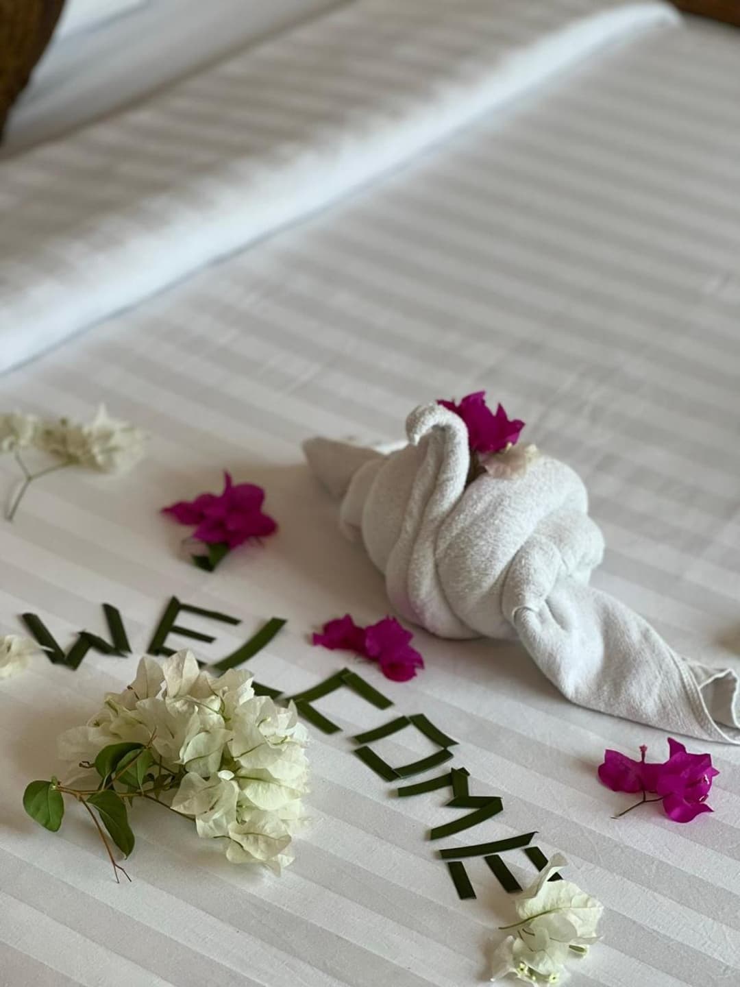 Leisure Boutique Maafushi 维尼家 - View 2