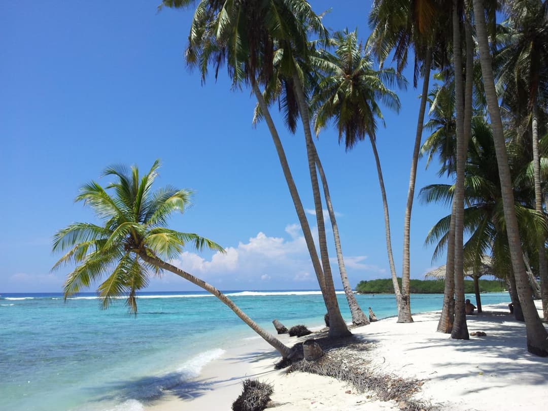 Dream Inn at Thulusdhoo - View 2