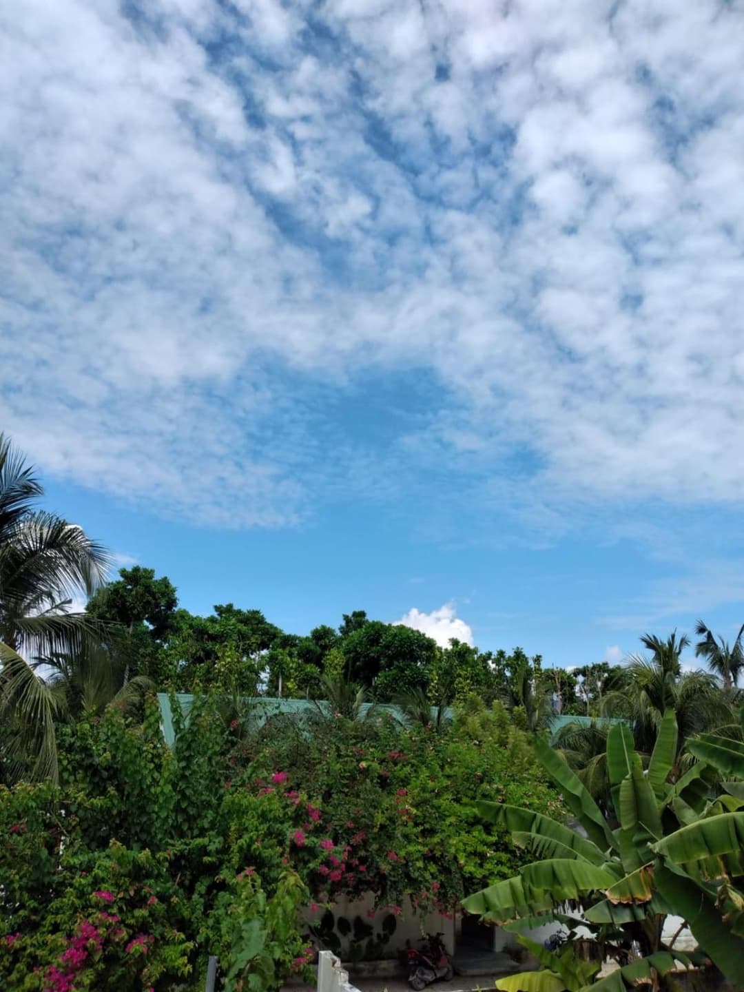 Sunrise Inn - View 5