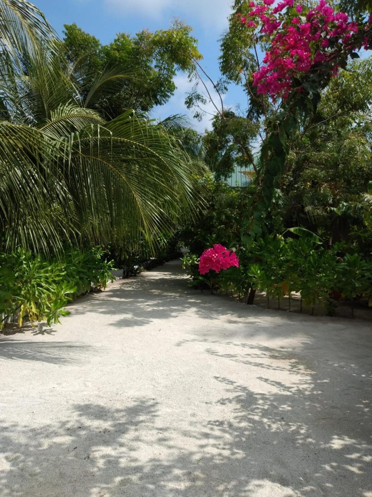 Sunrise Inn - View 62