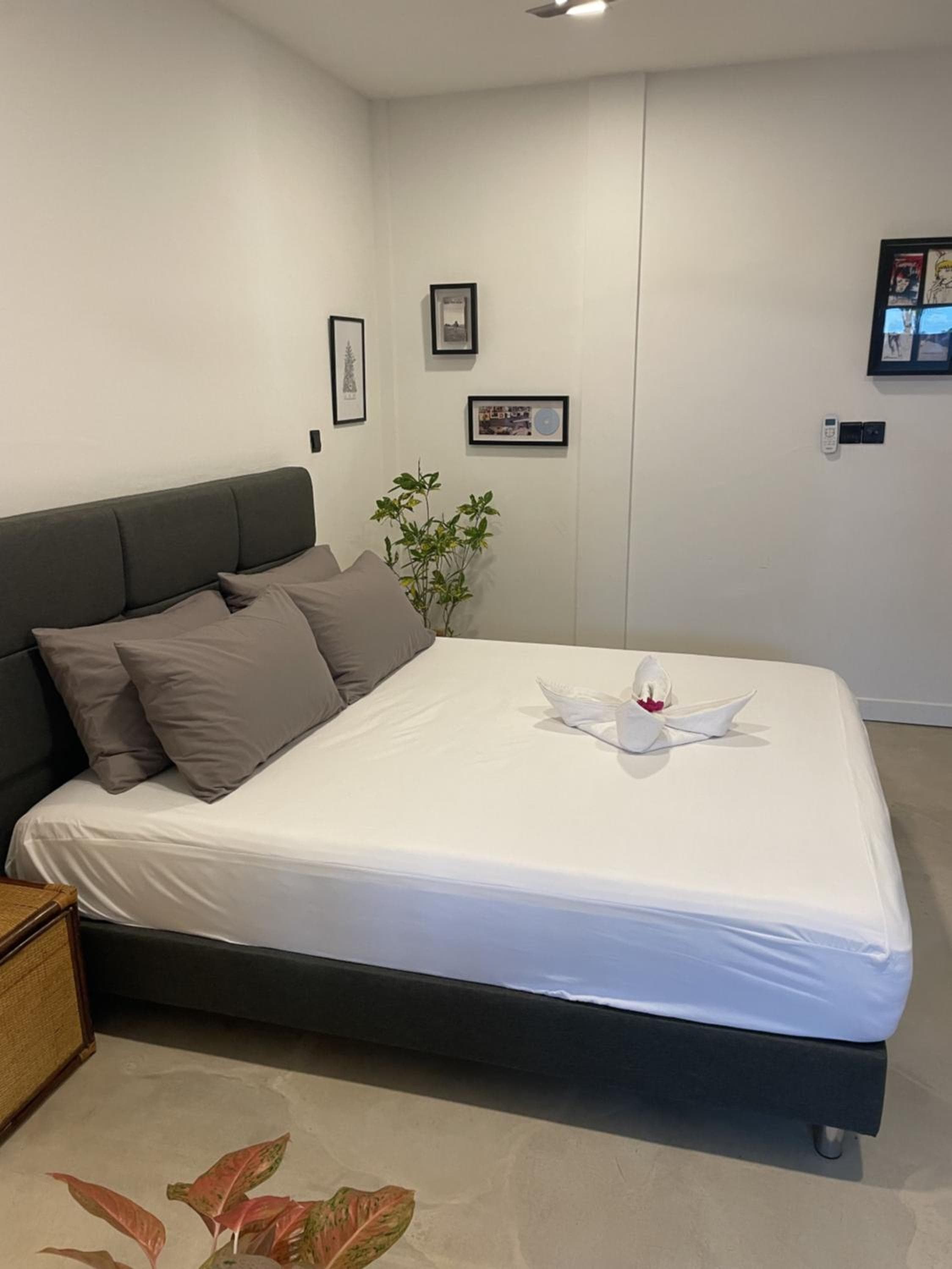 EQ SURF RETREAT - View 2