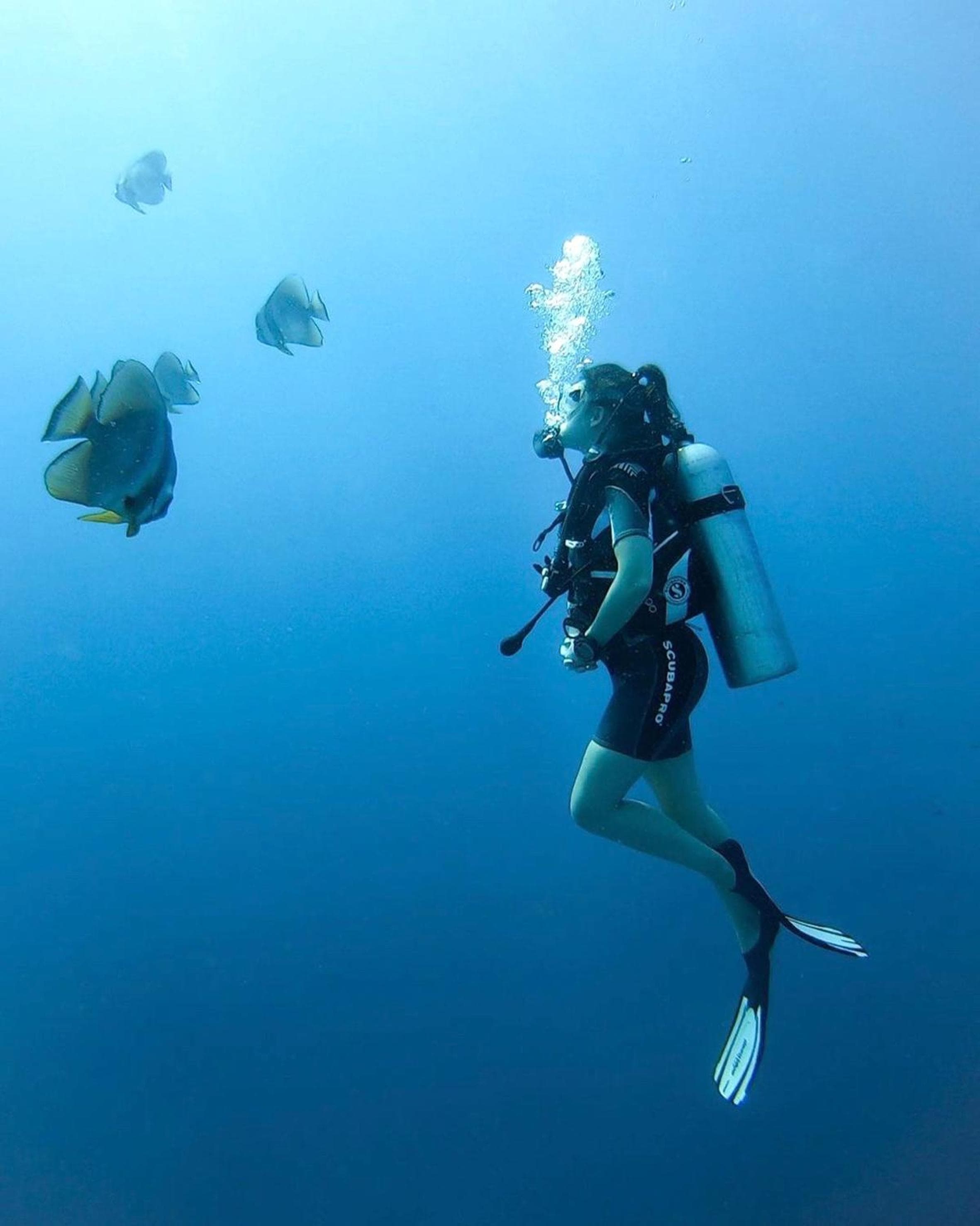 You & Me Maldives - Adults Only - Premium All-Inclusive - View 73