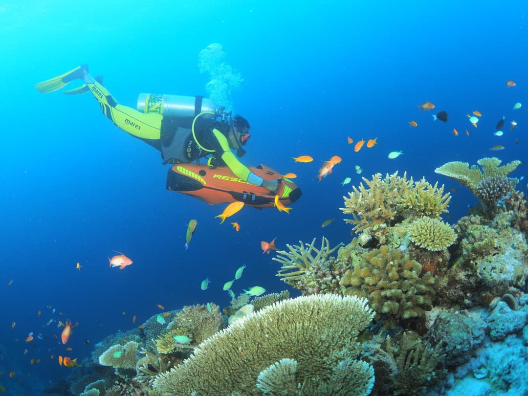 You & Me Maldives - Adults Only - Premium All-Inclusive - View 110