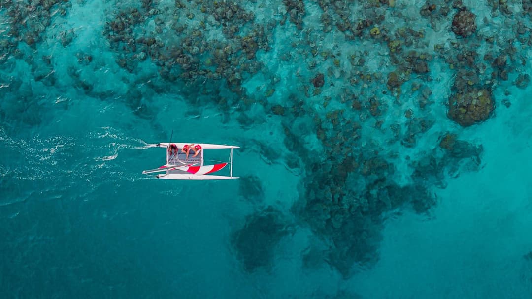 You & Me Maldives - Adults Only - Premium All-Inclusive - View 59