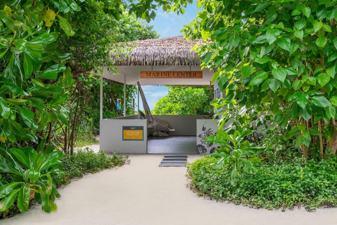 Le Meridien Maldives Resort & Spa - View 25