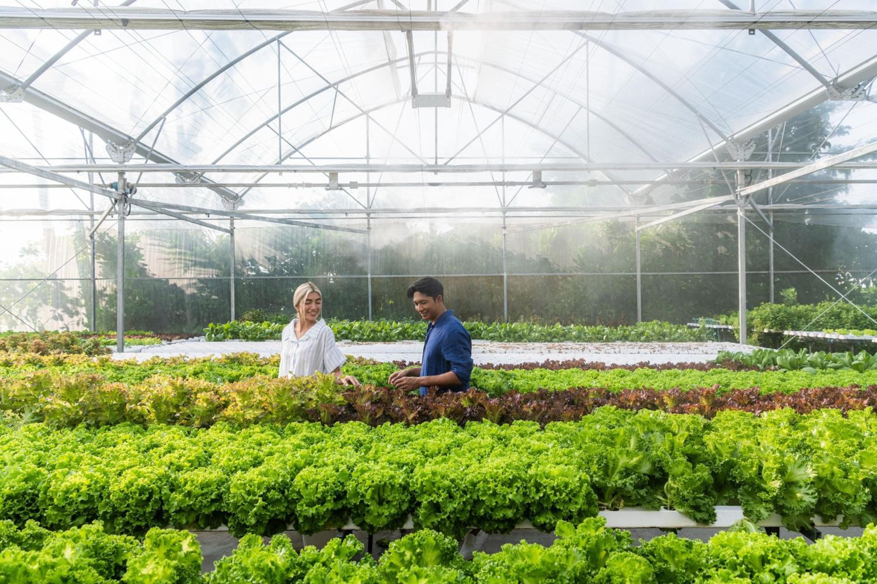 Le Meridien Maldives Resort & Spa - View 133