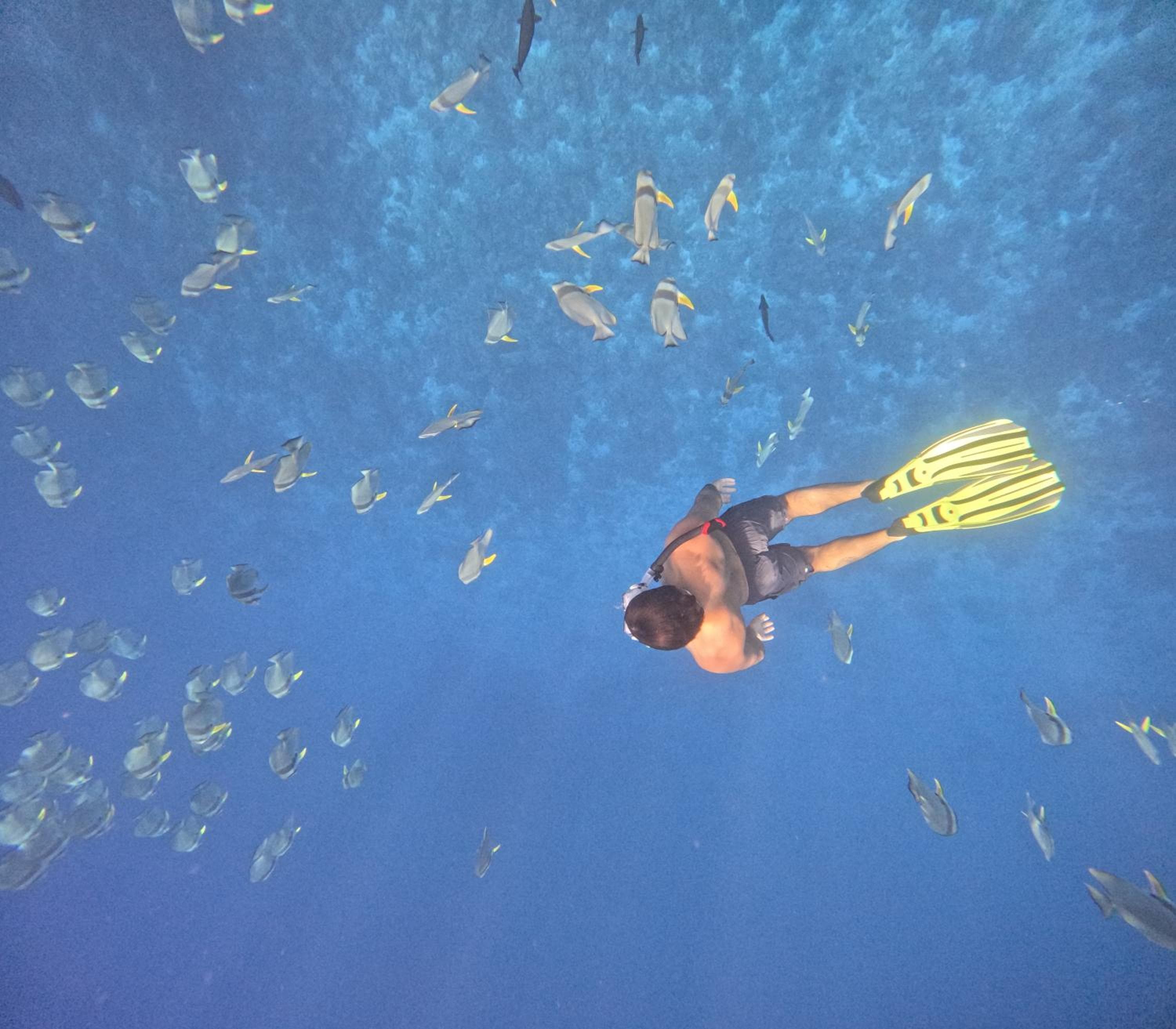 Fiyavalhu Resort Maldives - View 27