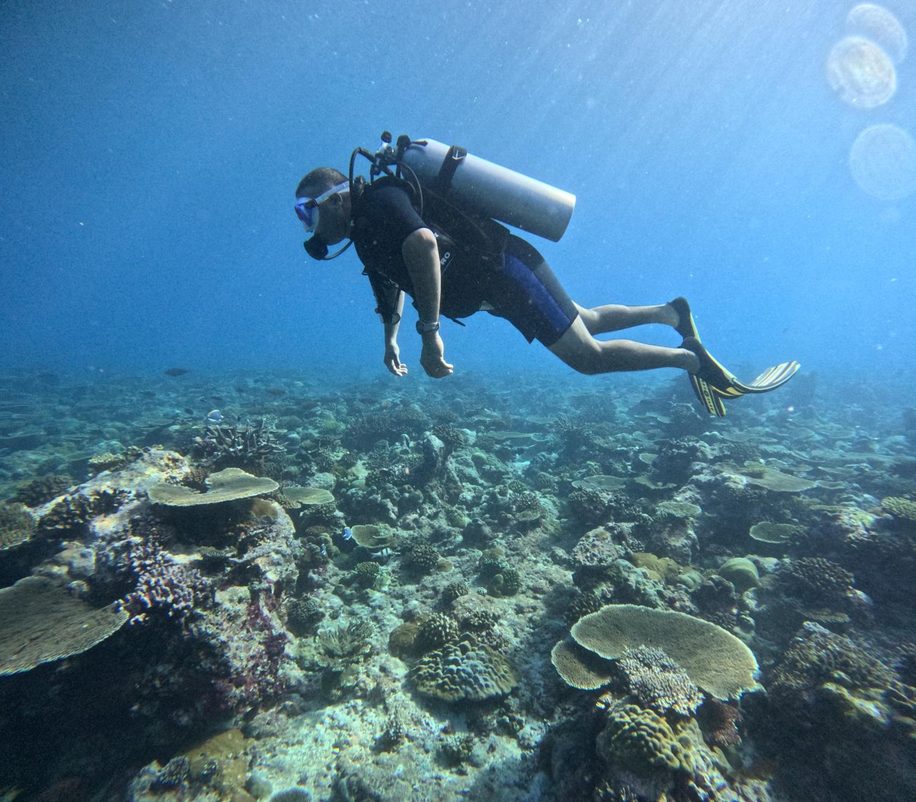 Fiyavalhu Resort Maldives - View 88