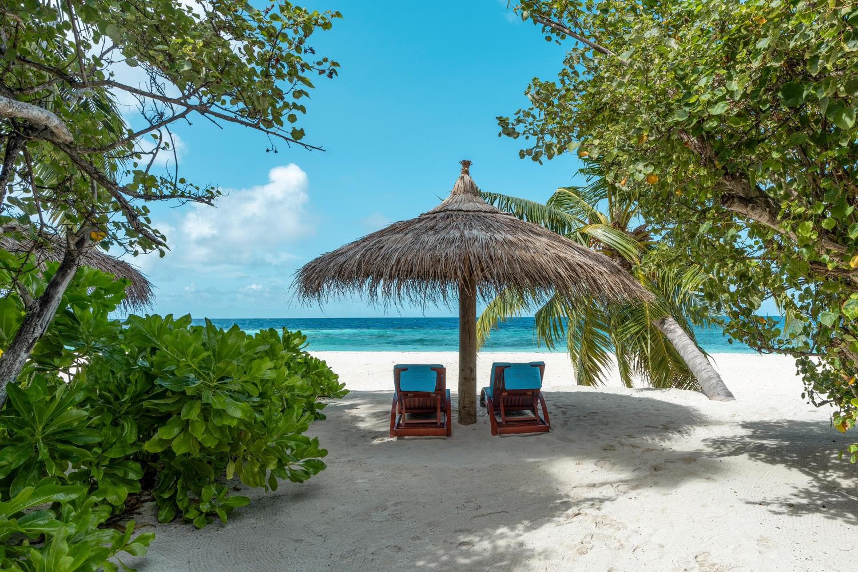 ROBINSON MALDIVES - Adults only - View 50