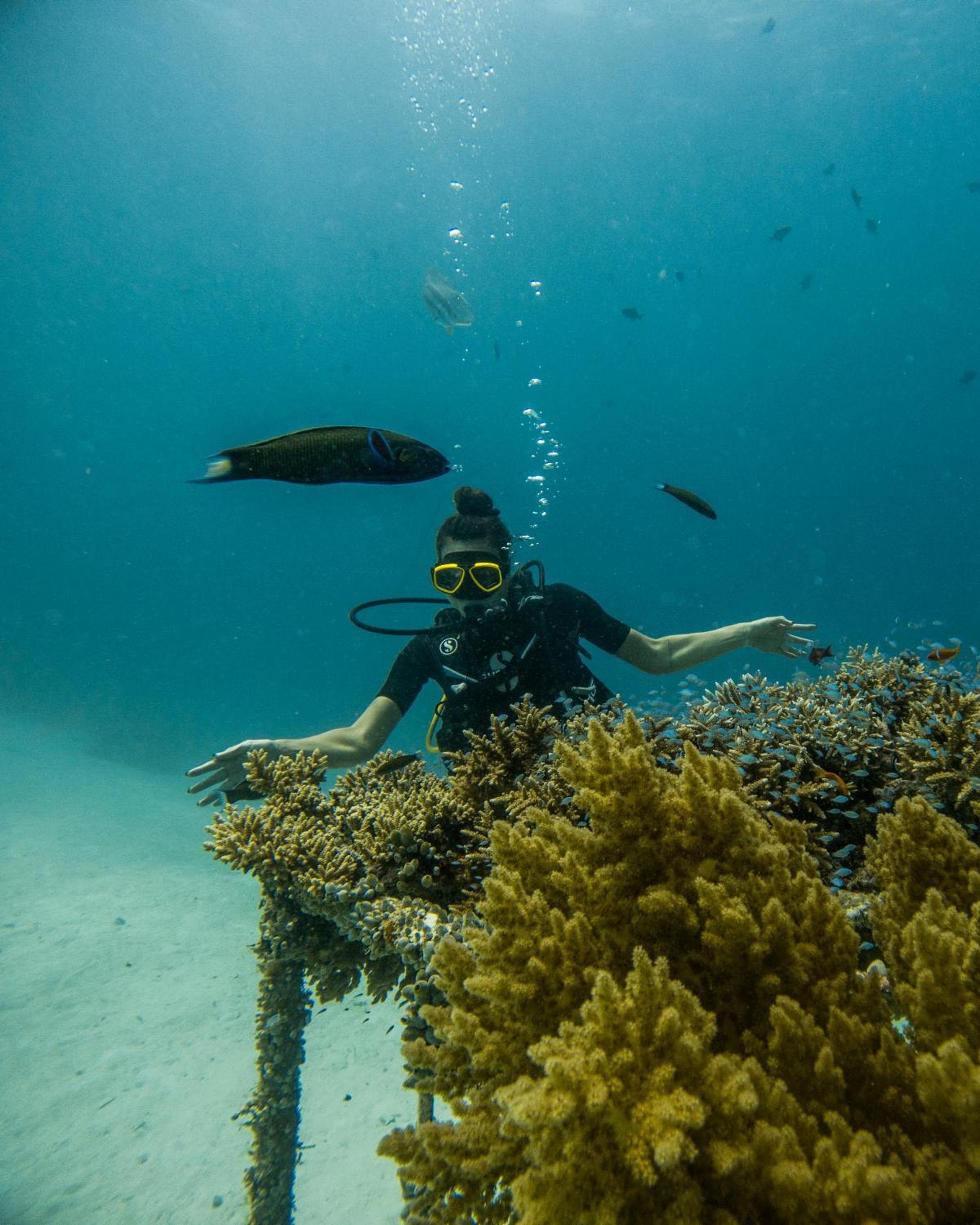 Grand Park Kodhipparu Maldives - View 155