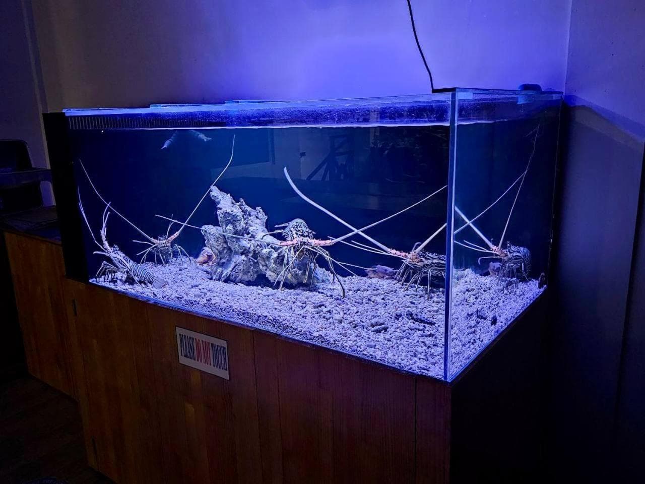 PERLA Dhangethi - View 196