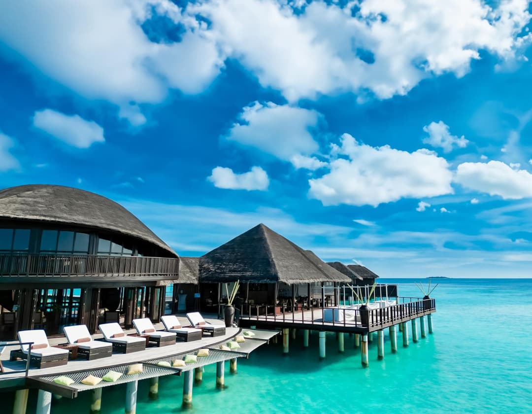 Coco Bodu Hithi - Stay 4 nights or more and enjoy 30 percent off Shared Roundtrip Speedboat, valid for stays until 31st August 2026 - View 77