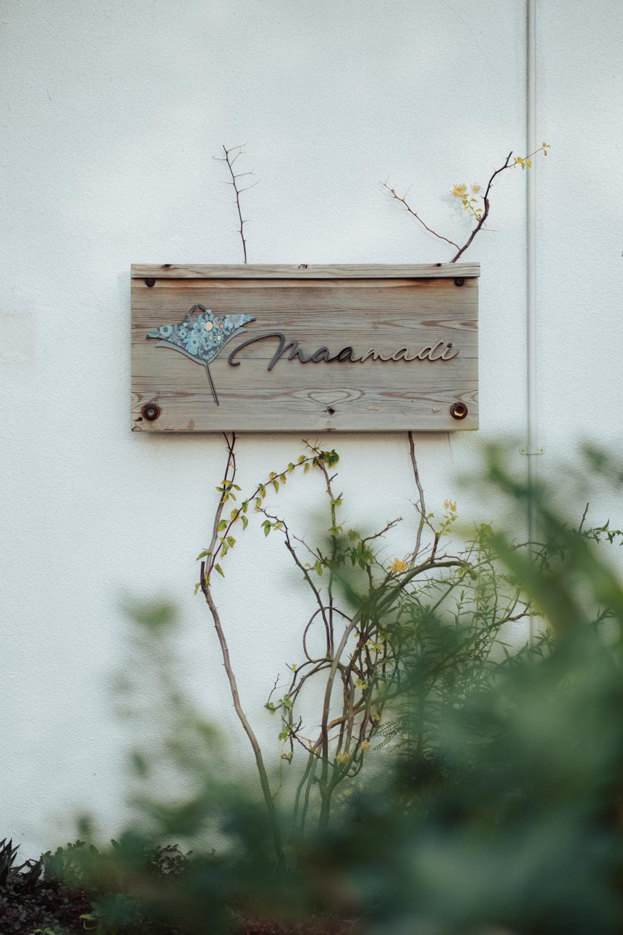 Maamadi Boutique - View 34