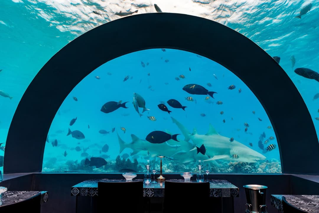You & Me Maldives - Adults Only - Premium All-Inclusive - View 92