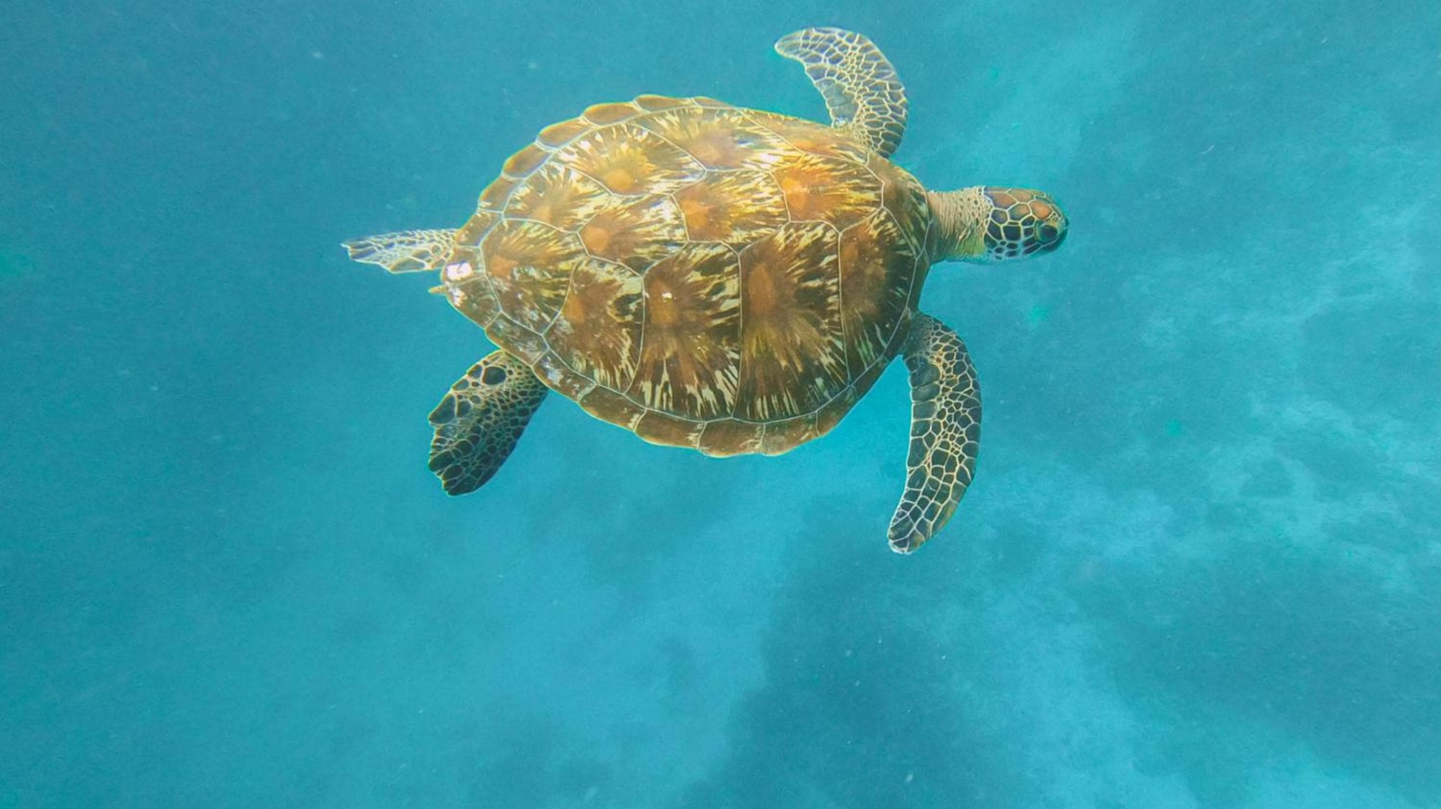 Thundi Village & Spa - View 64