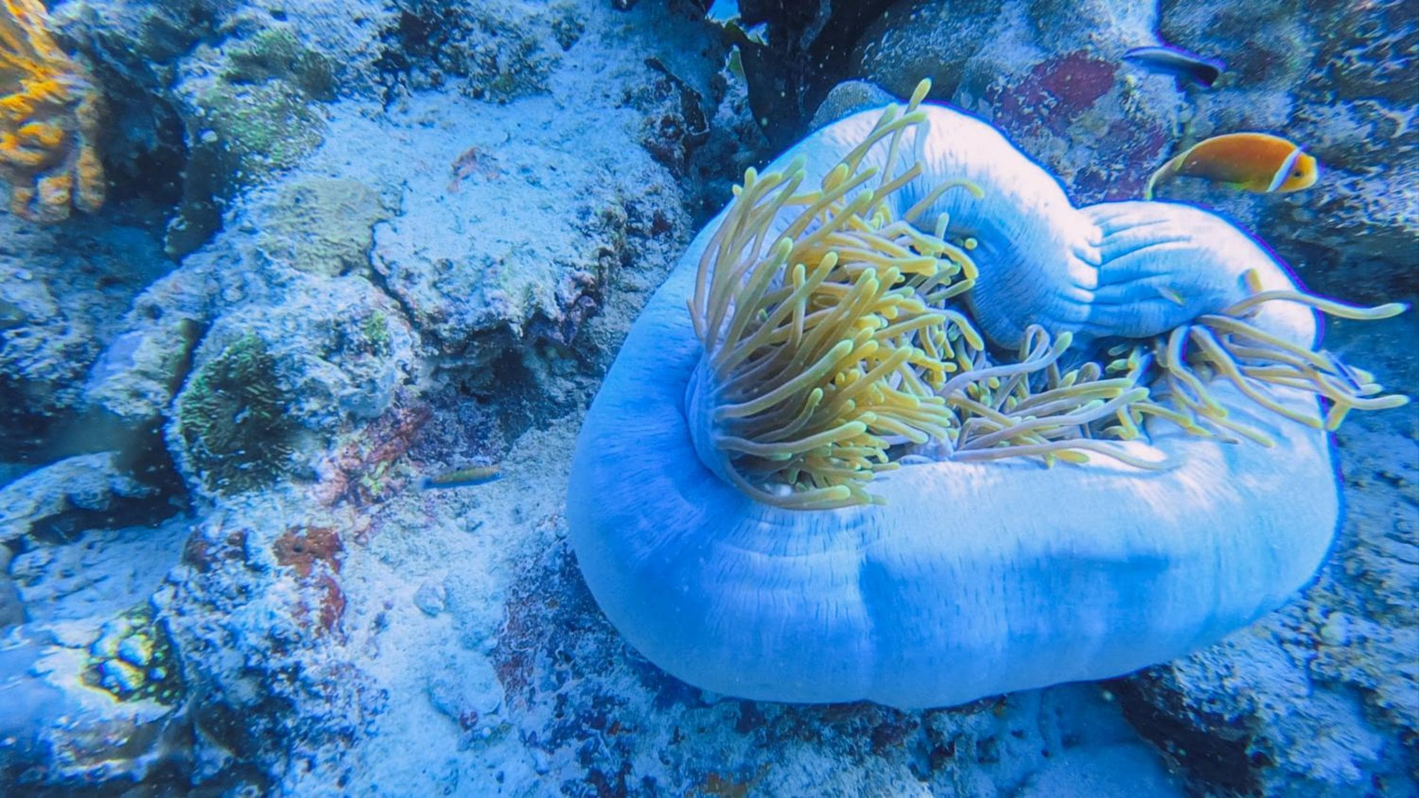 Thundi Village & Spa - View 65