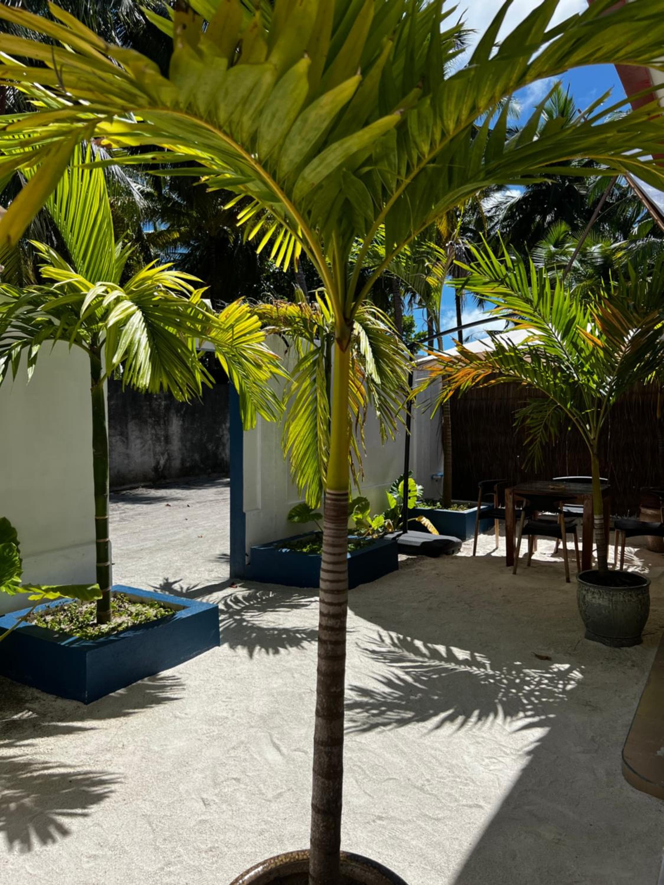 Captal Beach Villa - View 14