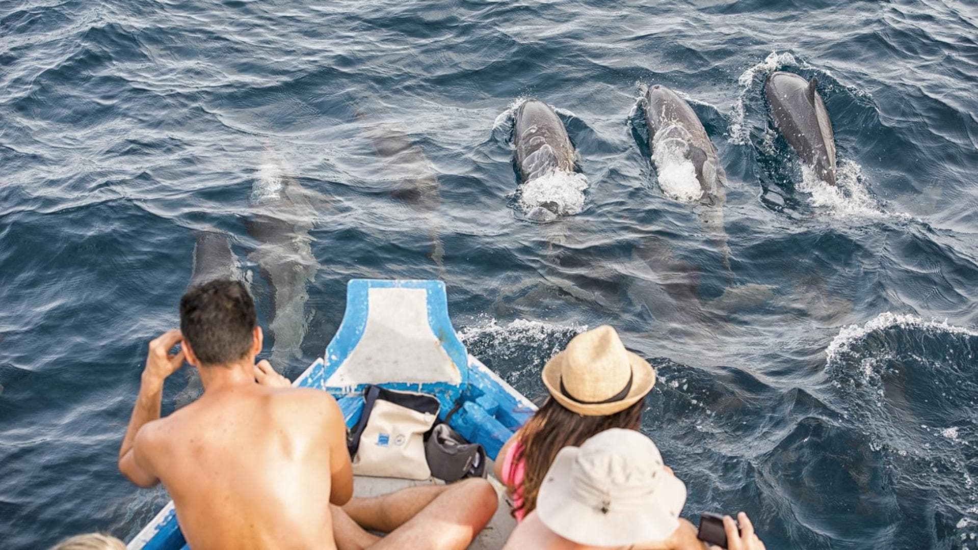 The Barefoot Eco Hotel - View 46