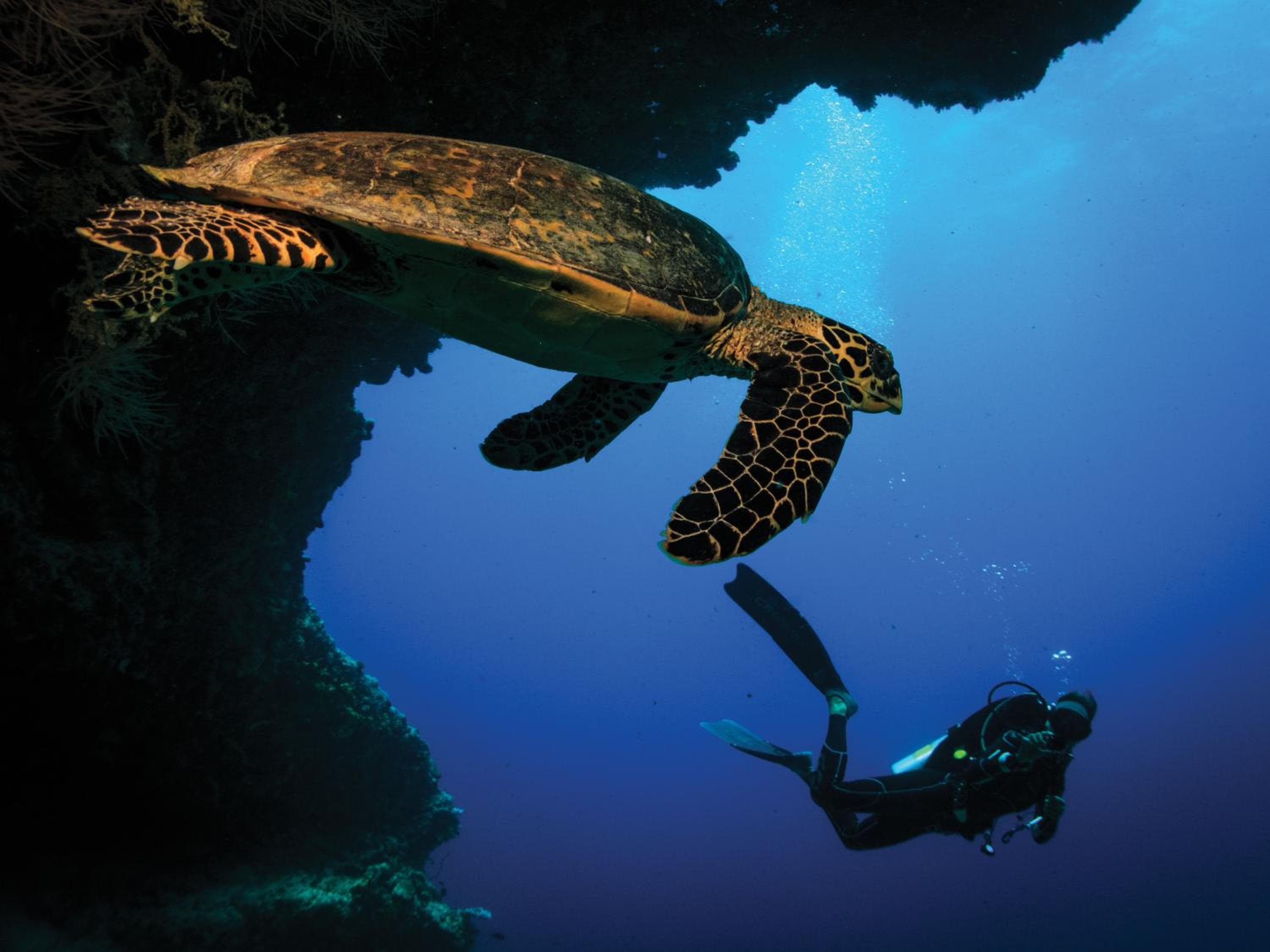 OBLU SELECT Sangeli - Premium All Inclusive with Free Transfers - View 10