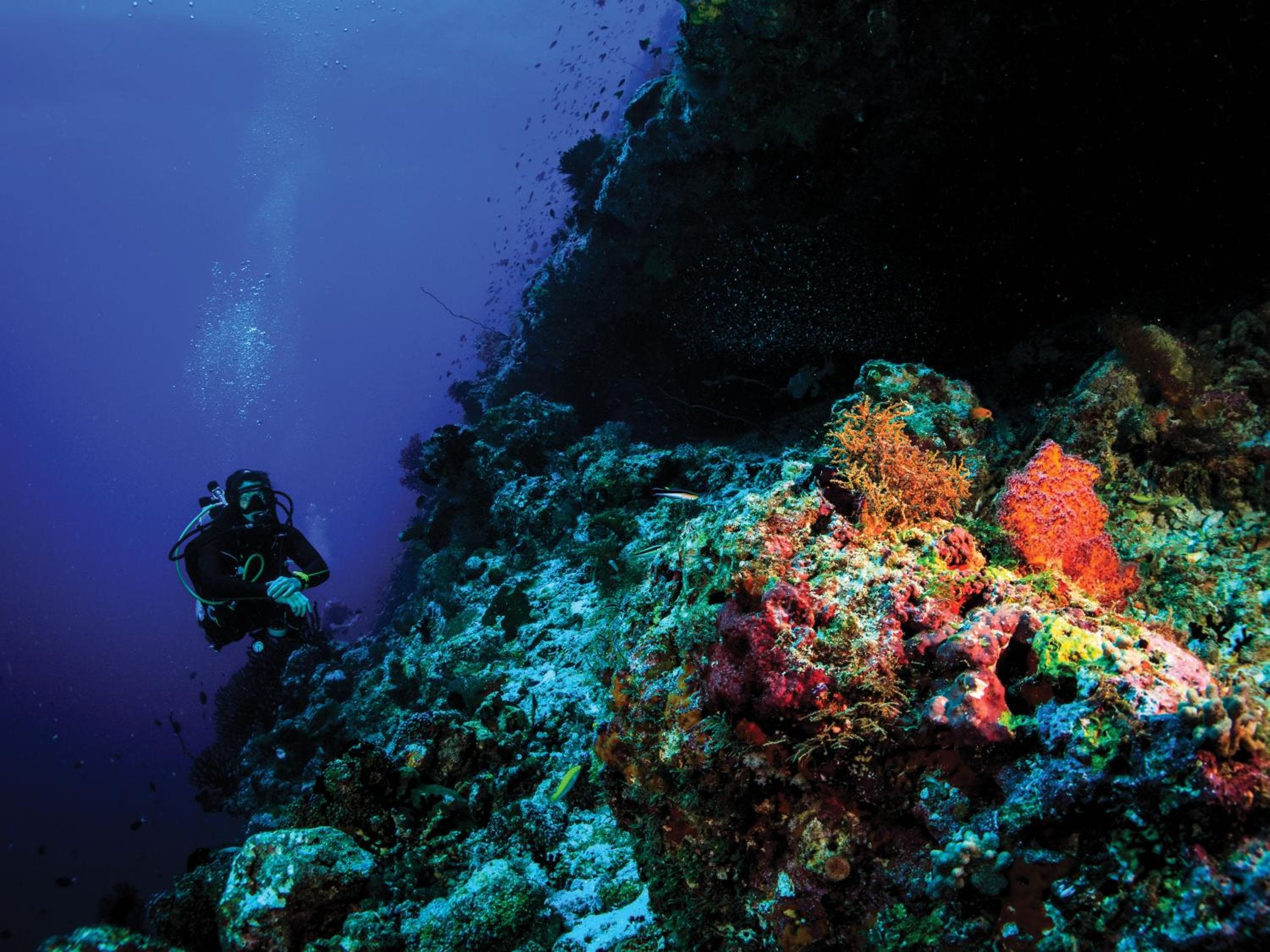 OBLU SELECT Sangeli - Premium All Inclusive with Free Transfers - View 13